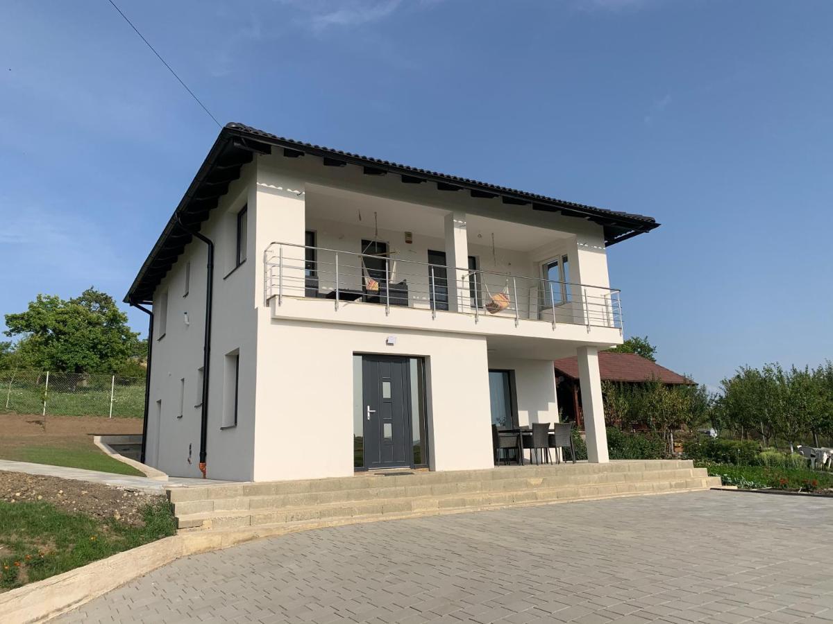 Viktoria House Villa Odorheiu Secuiesc Exterior foto