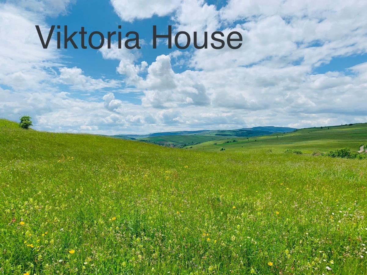 Viktoria House Villa Odorheiu Secuiesc Exterior foto