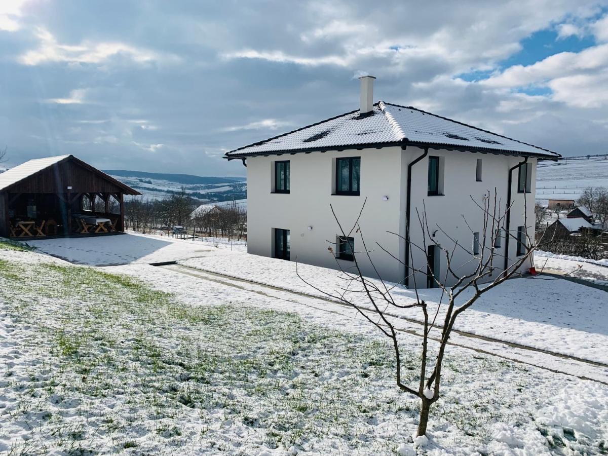 Viktoria House Villa Odorheiu Secuiesc Exterior foto
